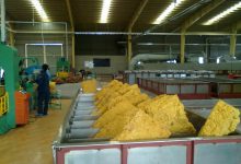 (Tiếng Việt) BIẾN TẦN CHO LÒ SẤY CÔNG NGHIỆP